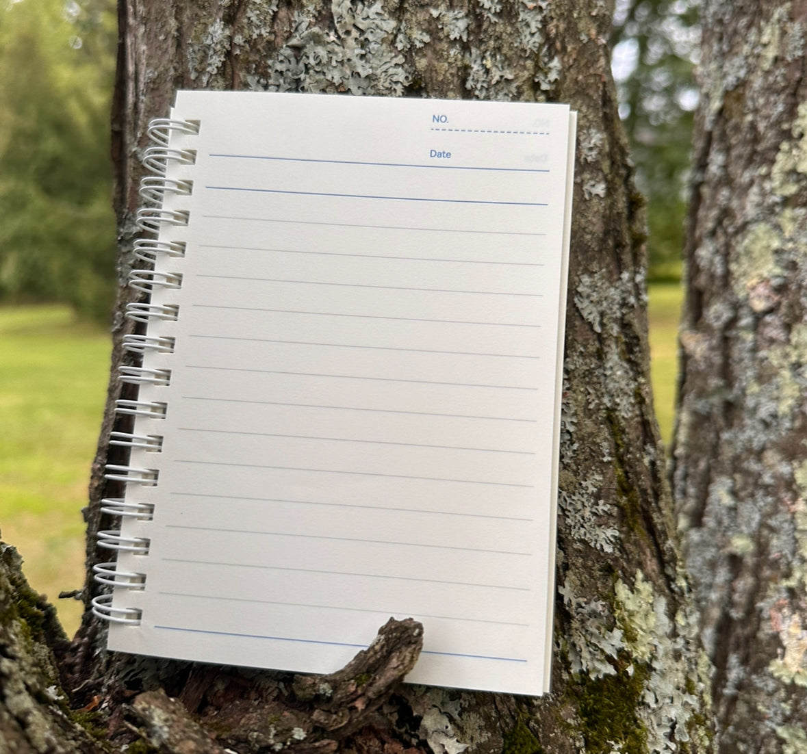 Open Notebook attached to a tree with a natural background