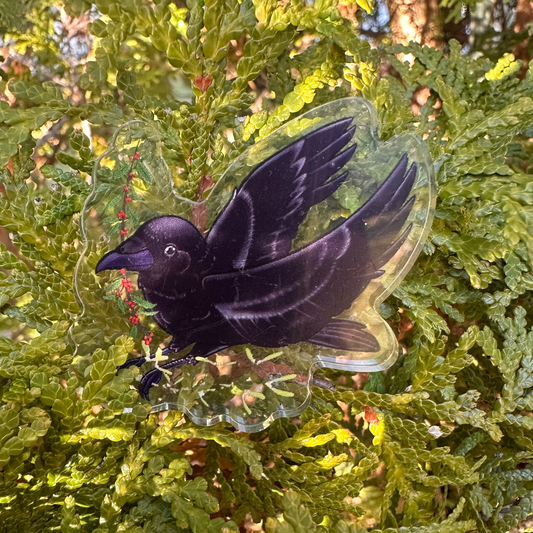 A black and clear acrylic pin shaped like a crow, holding a sprig of red berries, affixed to a green leafy surface.