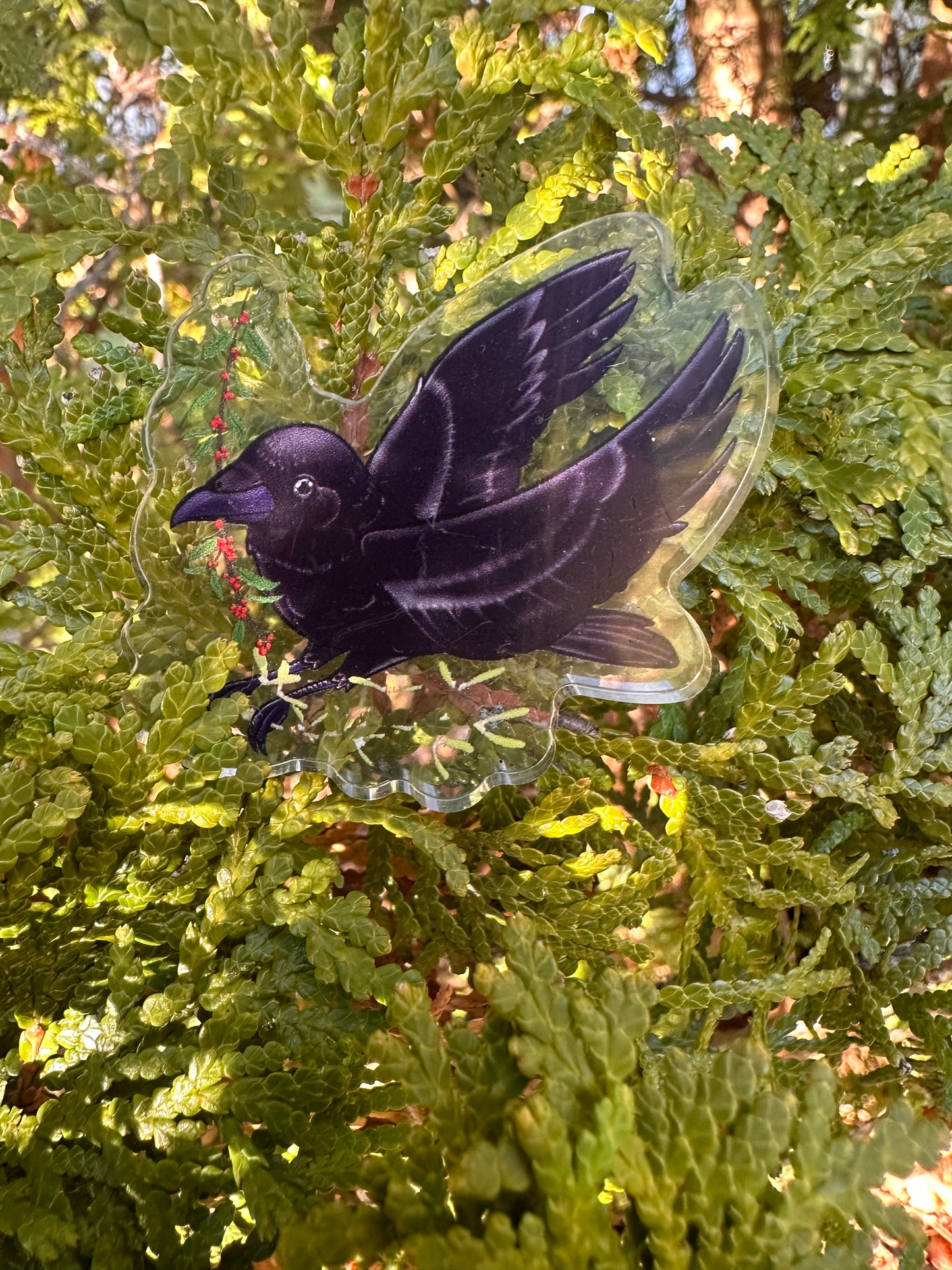 Crow Acrylic Pin